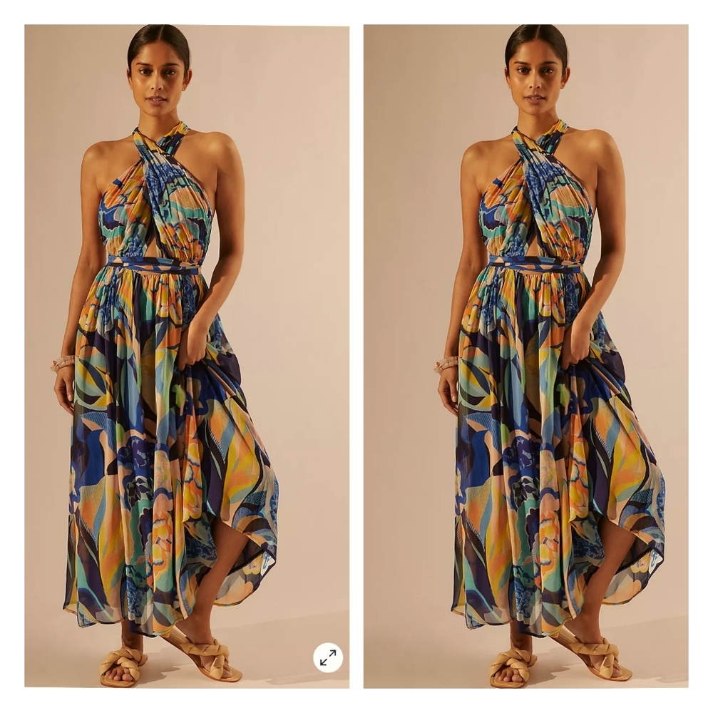 Anthropologie Alexandra Farmer Printed Maxi Dress
